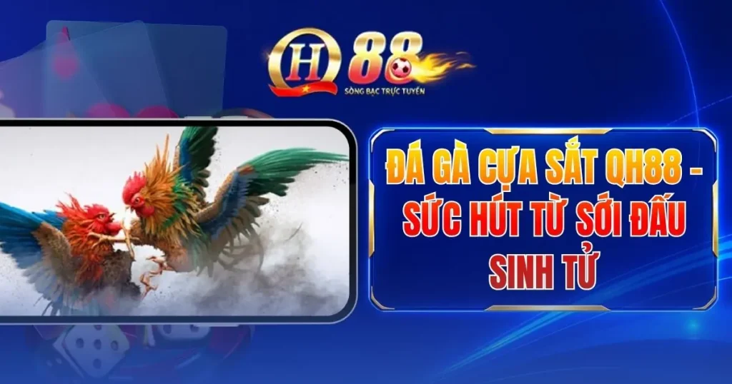 Đá Gà Cựa Sắt QH88 - Sức Hút Từ Sới Đấu Sinh Tử 