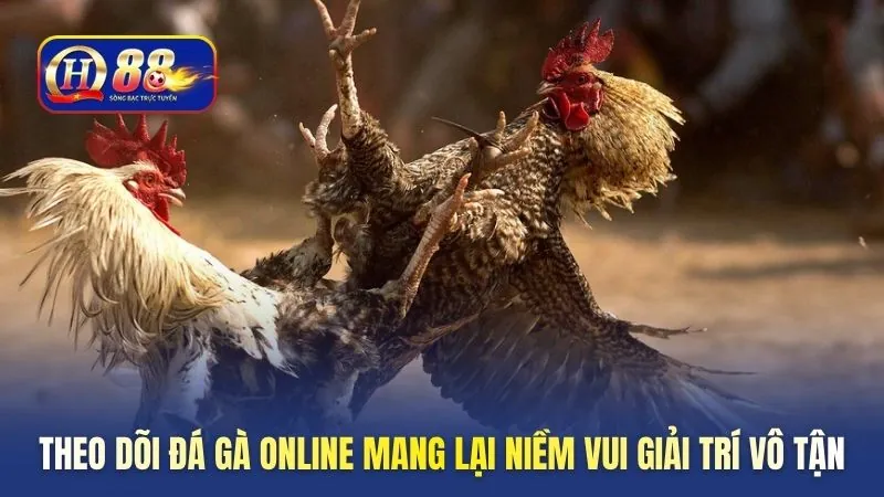 Theo dõi đá gà online mang lại niềm vui giải trí vô tận